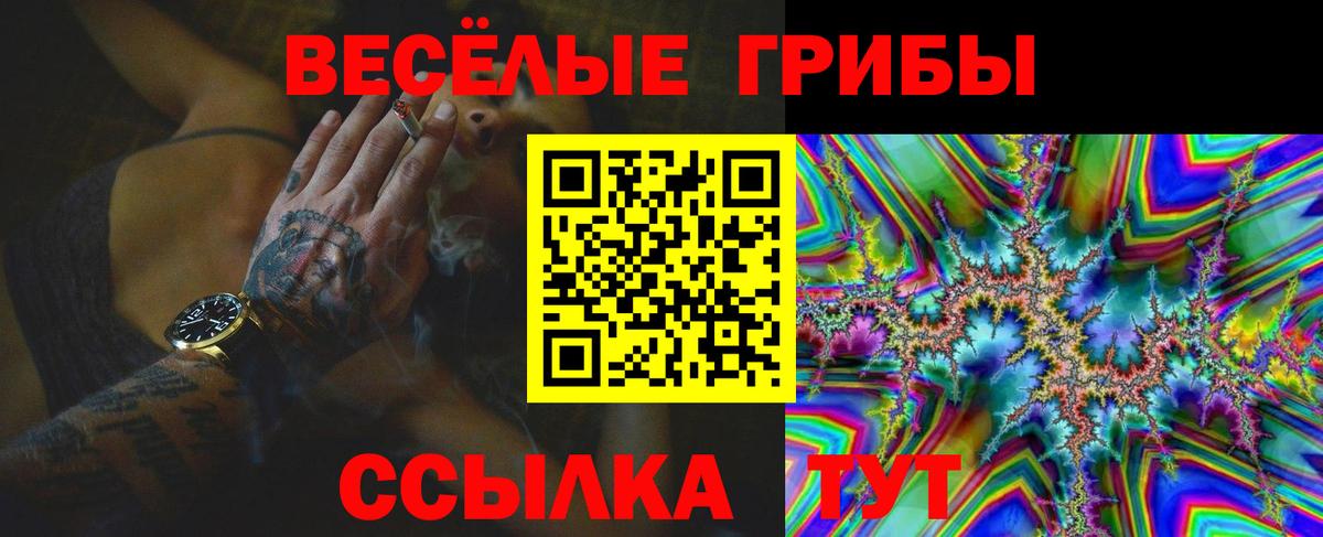 Псилоцибиновые грибы мухоморы Новокуйбышевск