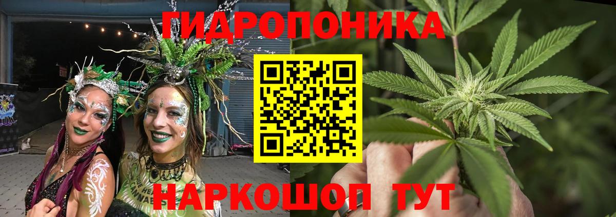 Конопля SATIVA & INDICA  Вход с VPN  МАРИХУАНА ГИДРОПОН  Шишки марихуана THC 21%  Конопля планчик  Новокуйбышевск 